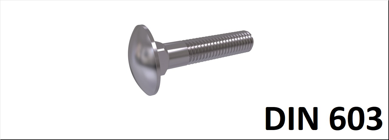 Carriage Bolt 3